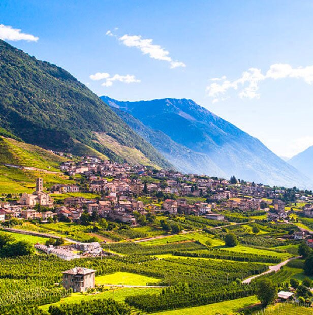 Levissima Regeneration progetto sostenibilità - Paesaggio Valtellina Levissima Regeneration progetto sostenibilità - Paesaggio Valtellina