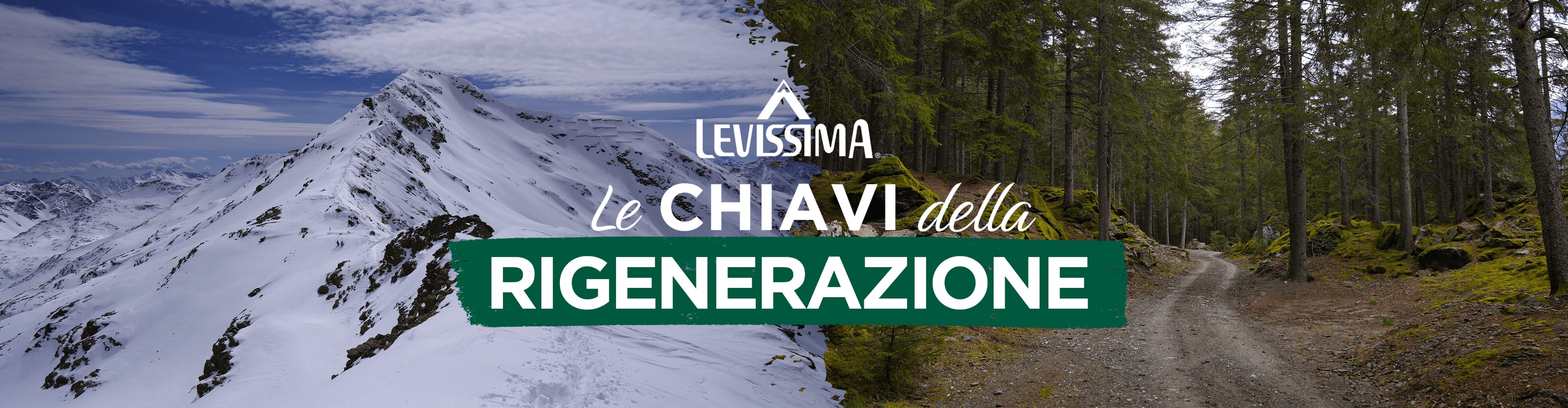 Le chiavi della rigenerazione