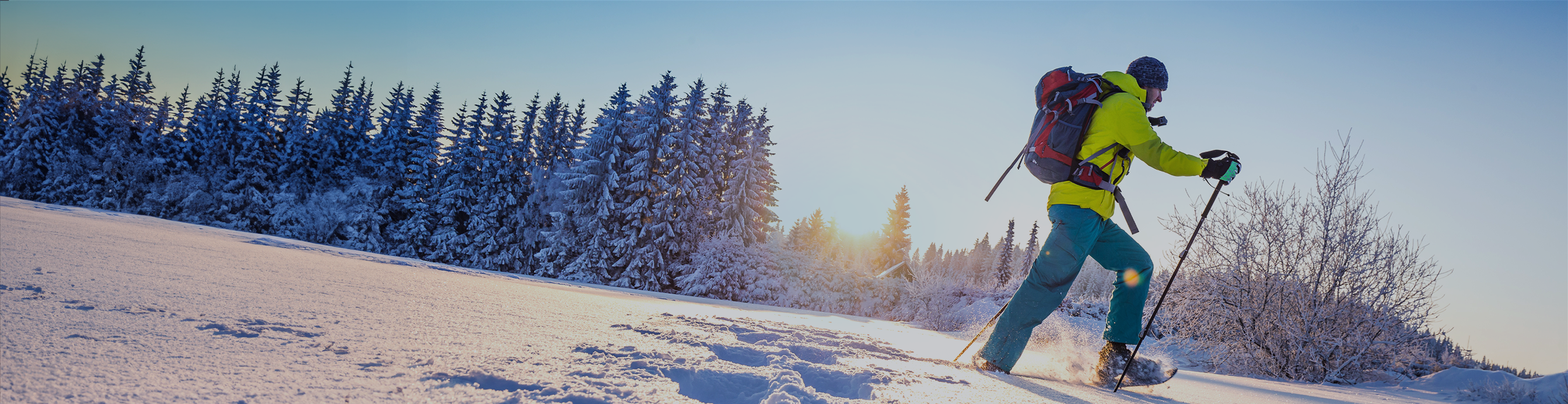 Everydayclimbers Header