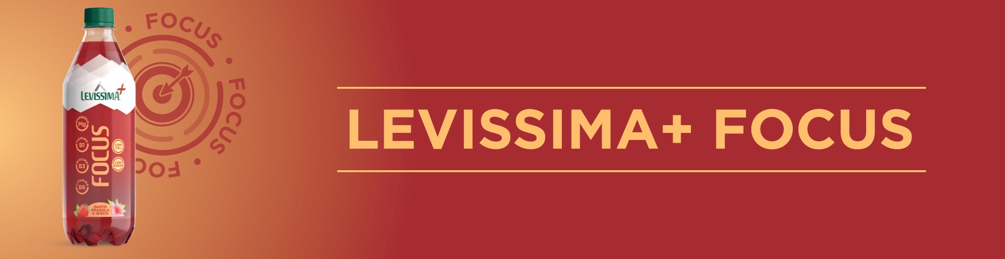 LEVISSIMA+ FOCUS