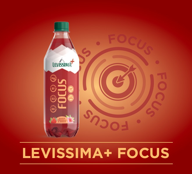 LEVISSIMA+ FOCUS