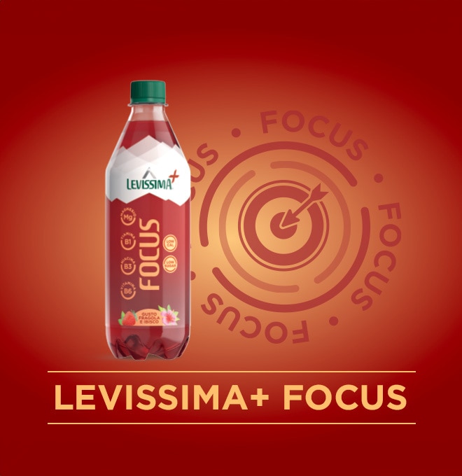 LEVISSIMA+ FOCUS