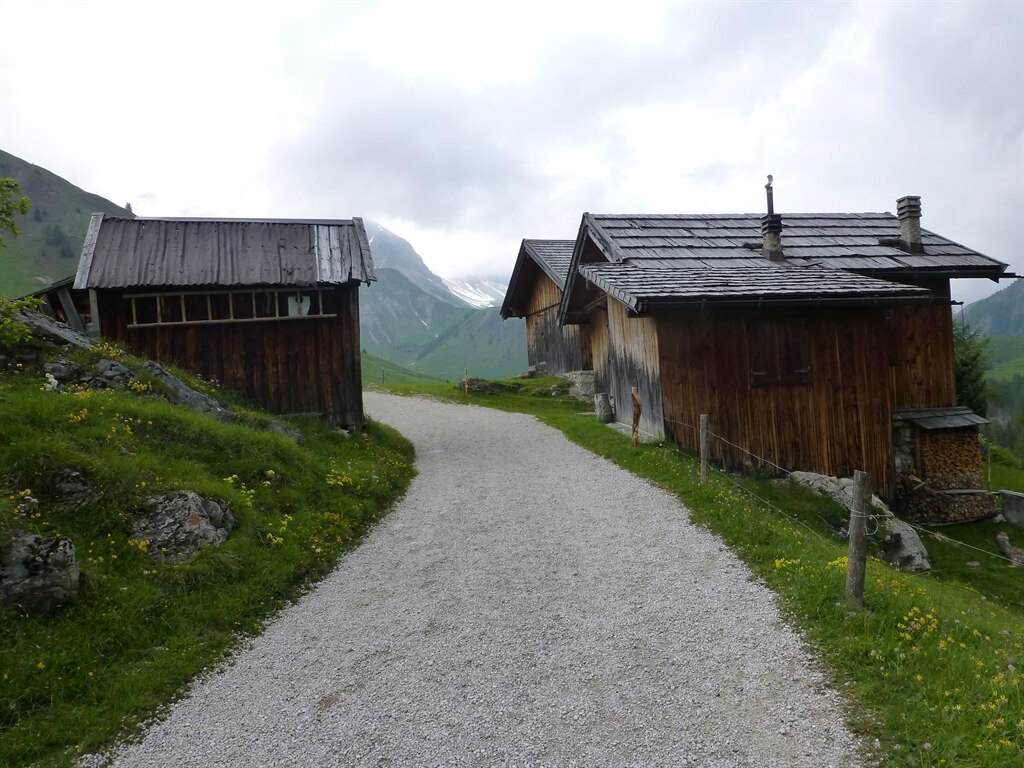 Beatrice  Mantellini 