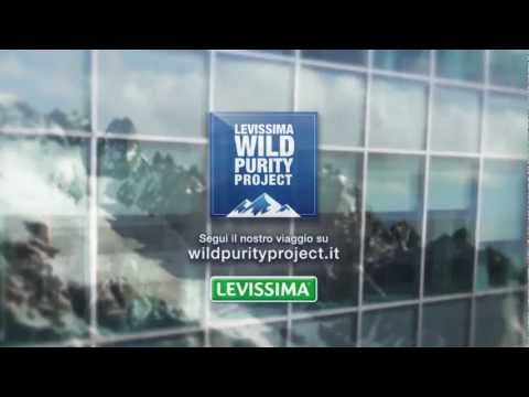 A Wild Purity Day A Wild Purity Day