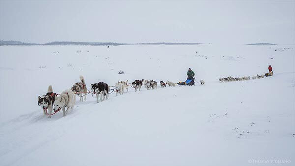 500 km su una slitta trainata da 28 husky per Expedition Ulminak