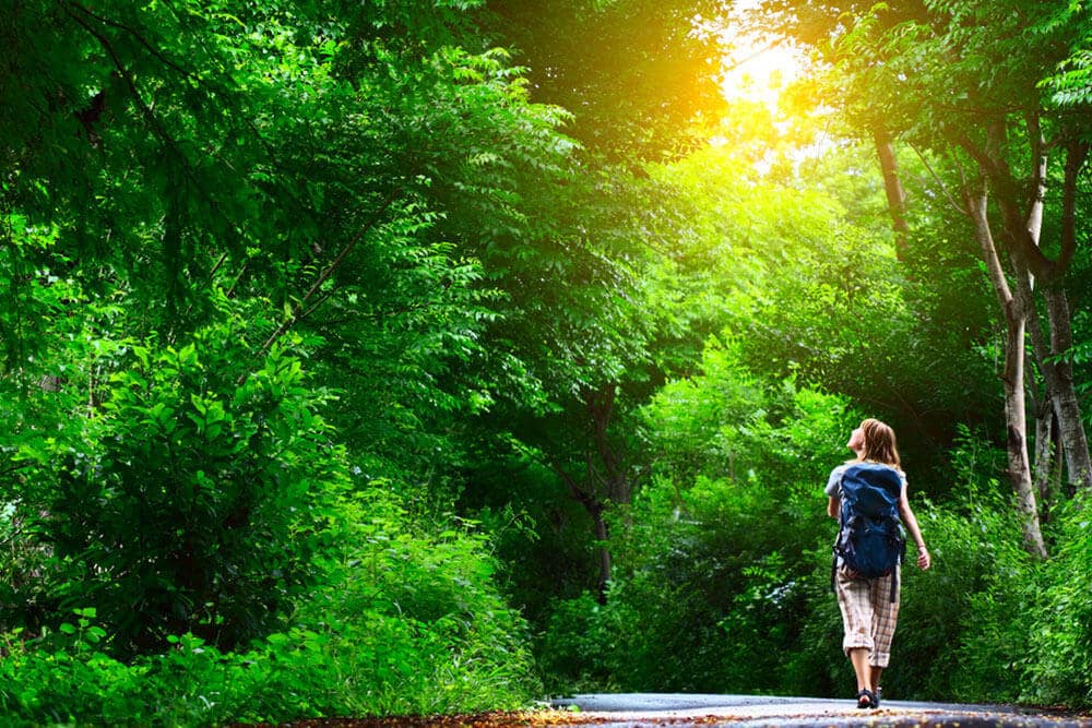 Forest bathing: il bagno di benessere nella vegetazione incontaminata