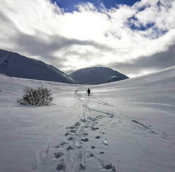 Luigi Barilari in bicicletta tra i ghiacciai dell'Alaska