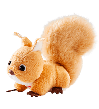 Animal species image