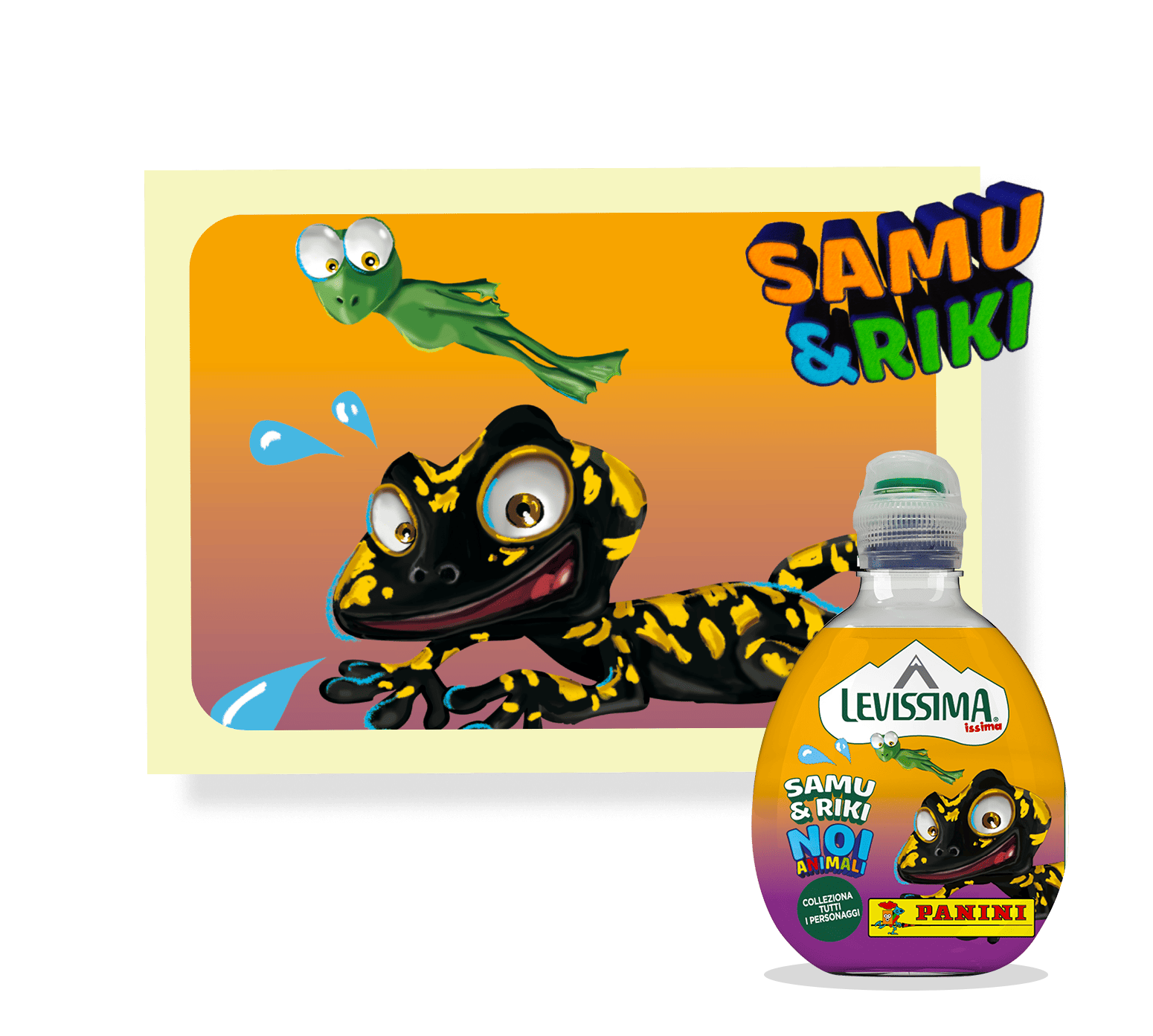 SALAMANDRA E RANA