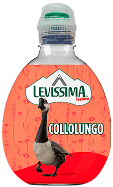 COLLOLUNGO