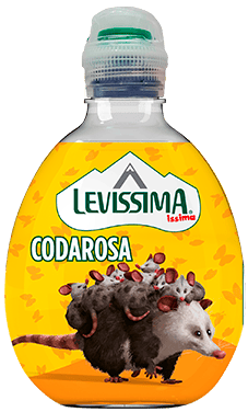CODAROSA